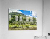 1 160 2 Acrylic Print
