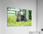 1 9 Acrylic Print