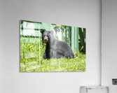 1 9 Acrylic Print