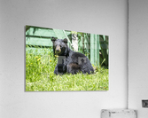 1 9 Acrylic Print