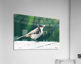 1 128 Acrylic Print