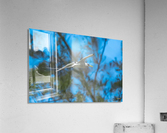 1 102 Acrylic Print