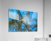 1 102 Acrylic Print