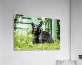 1 5 Acrylic Print