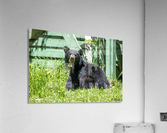 1 5 Acrylic Print
