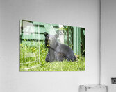 1 5 Acrylic Print