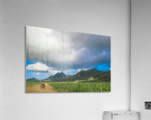 1 188 Acrylic Print