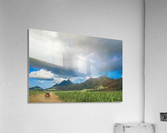1 188 Acrylic Print