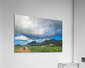 1 188 Acrylic Print