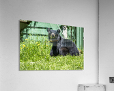 1 4 Acrylic Print