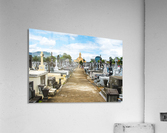 1 20 2 Acrylic Print