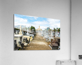 1 20 2 Acrylic Print