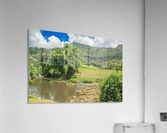 1 159 Acrylic Print
