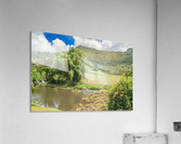 1 159 Acrylic Print