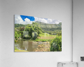 1 159 Acrylic Print