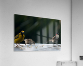 1 134 Acrylic Print
