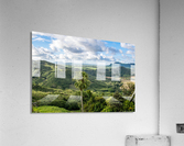 1 222 Acrylic Print