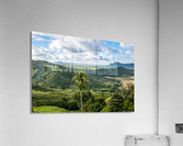 1 222 Acrylic Print