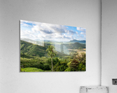1 222 Acrylic Print