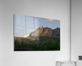 1 103 Acrylic Print