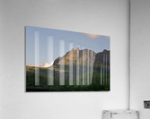 1 103 Acrylic Print