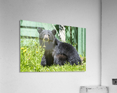 1 3 Acrylic Print