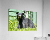 1 3 Acrylic Print