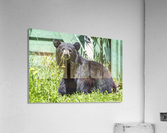 1 3 Acrylic Print