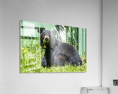1 3 Acrylic Print