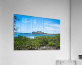 1 88 Acrylic Print
