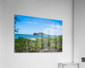 1 88 Acrylic Print