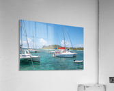 1 66 Acrylic Print