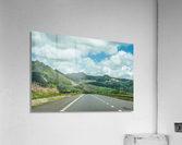 1 151 Acrylic Print