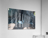 1 90 Acrylic Print
