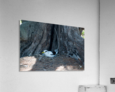 1 90 Acrylic Print