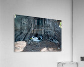 1 90 Acrylic Print
