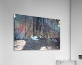 1 90 Acrylic Print
