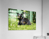 1 10 Acrylic Print