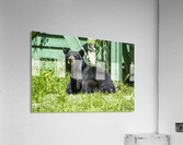 1 10 Acrylic Print