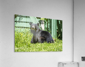 1 10 Acrylic Print