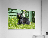 1 10 Acrylic Print