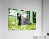 1 10 Acrylic Print