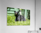 1 10 Acrylic Print