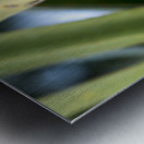 1 175 Metal print