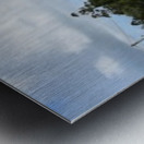 DSC_0881 Metal print