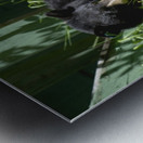 1 Metal print