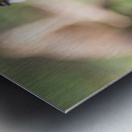 1 117 Metal print