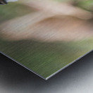 1 117 Metal print