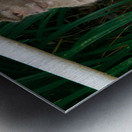 1 164 Metal print