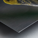 1 140 Metal print